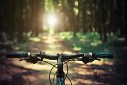 Ile kalorii spalisz na rowerze podczas jazdy 40 km? Sprawdź!