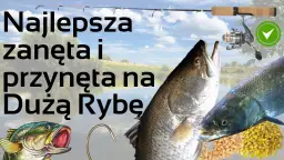 Rozwiązania do krzyżówki: przynęta na ryby - znajdź idealne hasła