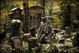 Muzeum Sztuki Cmentarnej we Wrocławiu: historia, ciekawostki i praktyczne informacje