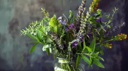 Jak stworzyć piękny i aromatyczny bukiet z ziół? Poradnik DIY