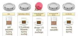 Prawidłowe dawkowanie suchej karmy dla kota - poznaj najlepsze zasady karmienia