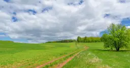 Ile kosztuje ar działki budowlanej na wsi?