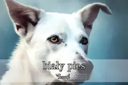 Portret białego psa o przenikliwych oczach, jak ze snu. Sny o psach często symbolizują wierność i ochronę.