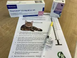 Wichtige Medikamente bei Schilddrüsenüberfunktion bei Katzen und ihre Wirkung