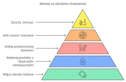 Piramide zdrowia: ćwiczenia, owoce, warzywa, zdrowe tłuszcze, sterole roślinne. To naturalne metody obniżania cholesterolu, alternatywa dla statyn.