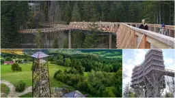 Drewniane wieże widokowe Małopolska w otoczeniu lasów i malowniczych krajobrazów. Spacer po koronach drzew i podziwianie panoramy.