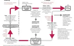 Od daniny do VAT: Fascynująca podróż przez historię podatków