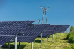 Rzędy paneli fotowoltaicznych na zielonej łące, pod błękitnym niebem. Idealny dzień, kiedy fotowoltaika produkuje najwięcej energii.