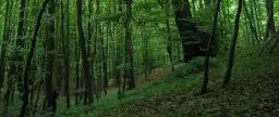Rezerwat przyrody Góra Chełm - tajemnice i atrakcje w naturze