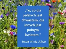 Najbardziej inspirujące cytaty i aforyzmy na miłego dnia, które poprawią humor