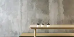 Minimalistyczne wnętrze z surowymi tynkami bez gładzi. Na drewnianym blacie trzy małe sukulenty w białych doniczkach.
