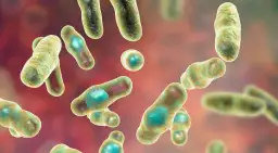 Ilustracja mikroskopowa bakterii Clostridium, pałeczek z zielonymi endosporami.