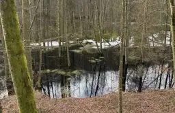 Rezerwat przyrody Lubygość: piękne krajobrazy i unikalna fauna