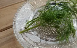 Pęczek świeżego koperku leży na ozdobnym, szklanym talerzu.
