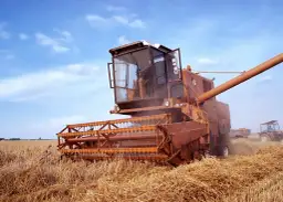 Kombajn Bizon model - najpopularniejszy model w Polsce | Kliknij i przeczytaj więcej