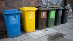 Czy można nie płacić za śmieci? Poznaj zasady i możliwe zwolnienia