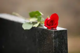 Une rose rouge sur une pierre tombale, symbole de deuil et de souvenir. Le notaire s'occupe du déblocage des fonds succession.