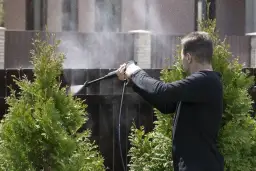 Jak wyczyścić drewniany płot z mchu i zapobiec jego powrotowi