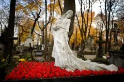 Cmentarz Wawrzyszewski: Najstarsza nekropolia Warszawy. Historia