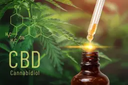 Olejek CBD: Na co działa? Pełny przewodnik po korzyściach