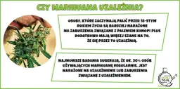 Uzależnienie od marihuany: objawy, skutki i jak skutecznie walczyć