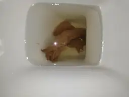 W kale widoczne są brązowe fragmenty i drobne białe grudki.