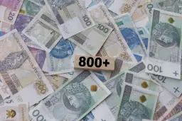 Pieniądze w polskich złotówkach, z drewnianym klockiem z napisem "800+". Kiedy złożyć wniosek o 800 plus?