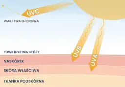Promienie UV, co to? UVC odbija się od warstwy ozonowej, UVA i UVB docierają do skóry, naskórka i głębiej.
