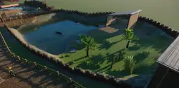 Wodne wybiegi dla hipopotamów w Planet Zoo, z kilkoma zwierzętami pływającymi w stawie i zielonym terenem z palmami.