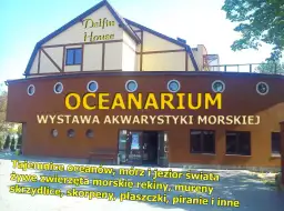 Oceanarium Łeba opinie – co mówią odwiedzający o Delfin House?