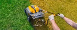 Kiedy wykonywać wertykulację trawnika, aby uniknąć zniszczeń i cieszyć się pięknym trawnikiem