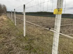 Ogrodzenie z siatki leśnej: Idealna odległość między słupkami