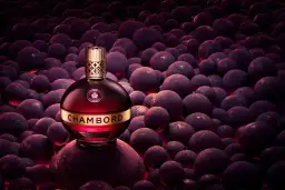 Elegancka butelka likieru Chambord wśród ciemnych, okrągłych owoców, emanująca luksusem i bogactwem smaku.
