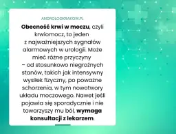 Co bada urolog? Poznaj kluczowe badania i objawy, które warto znać