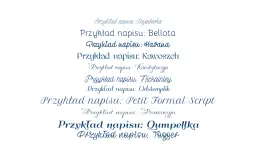 Przykłady napisów w różnych stylach, idealne do projektów z darmowe czcionki z polskimi znakami.
