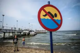 Czy można się kąpać w Bałtyku? Uważaj na niebezpieczne sinice