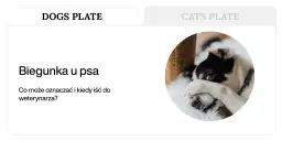 Biegunka u psa? Domowe sposoby i kiedy szukać pomocy weterynarza. Piesek wygląda na chorego, zasłaniając oczy łapką.