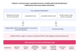 Schemat postępowania terapeutycznego dla pacjentów z cukrzycą typu 2, uwzględniający leki.