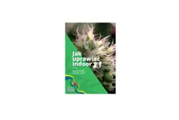 Jak uprawiać indoor: unikaj najczęstszych błędów i zyskaj plony