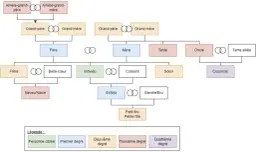Arbre généalogique montrant les liens familiaux, des arrière-grands-parents aux petits-enfants, illustrant les descendants.