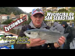 Techniki połowu cefala ryby: praktyczne porady na każdą okazję 