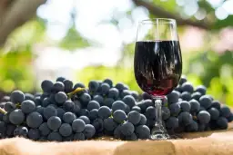 Jak zrobić wino z winogron jasnych - prosta receptura krok po kroku