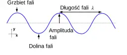 Amplituda: Kluczowe Pojęcie w Fizyce - Definicja i Znaczenie