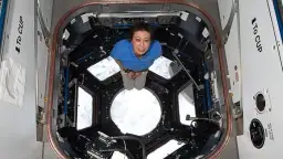 Fascynujący dzień z życia astronautów: co robią w kosmosie na co dzień