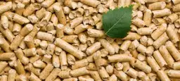 Jak produkować pellet: Kluczowe materiały i maszyny, które musisz znać