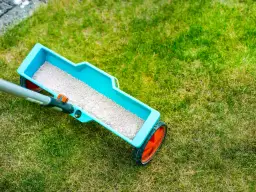 Kiedy nawozić trawnik nawozem jesiennym, aby uniknąć błędów i marnotrawstwa