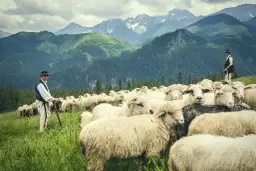 Bacówka 2 Zakopane: Odkryj górski azyl tradycji i smaku