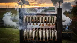 Jak przygotować karpia do wędzenia, aby uniknąć typowych błędów