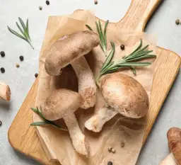 Czy pies może jeść grzyby? Dowiedz się, co może mu zaszkodzić