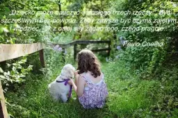 Magiczne cytaty o tym jak każdy ma coś z dziecka: Znajdź swoje marzenia